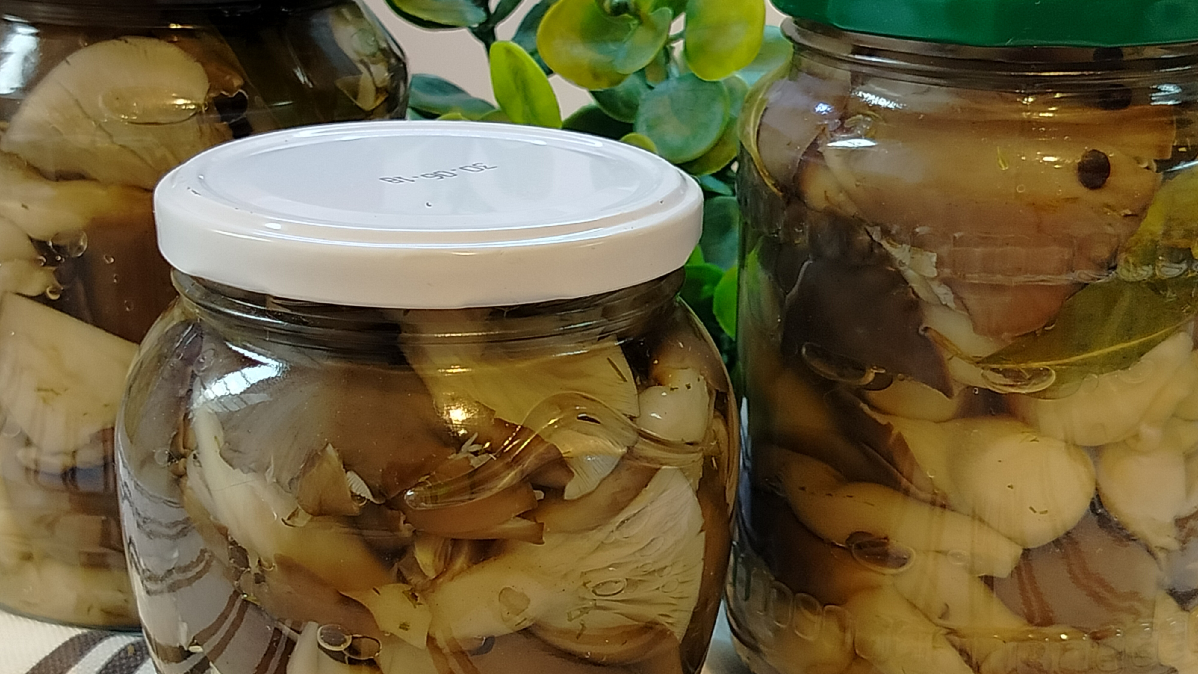 ВЕШЕНКИ ВО ВКУСНОМ МАРИНАДЕ