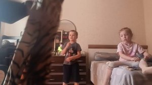 Игра в кальмара в реальной жизни 1 сезон