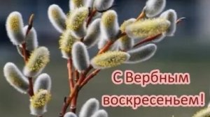 Добрая веточка вербы. С вербным воскресеньем. Шикарная музыкальная открытка.