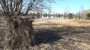 Подготовка к весенней охоте. Разведка старых мест.