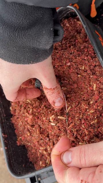 фидер весной