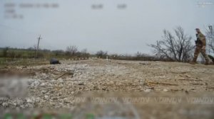 Ждун невидимка