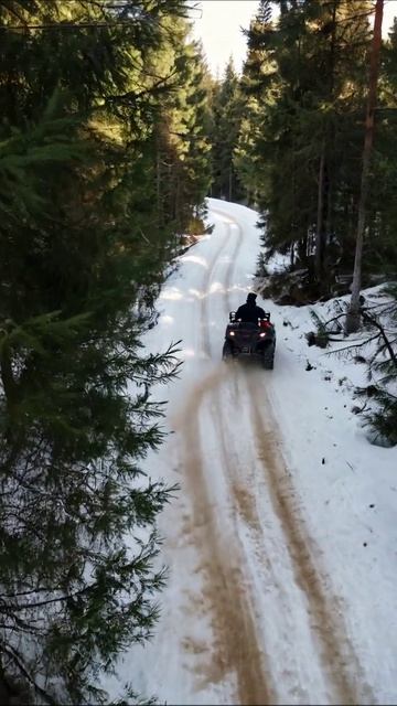 Зимнее приключение на квадроцикле в лесу #квадроцикл #зима #приключения