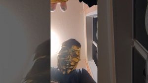 шеланавты 3