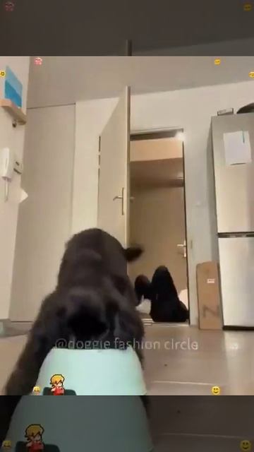 Когда еда побеждает дружбу 😅