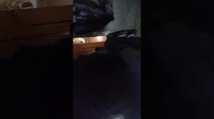 ночь хожу во дворе