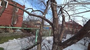 Весенний уход за яблонями