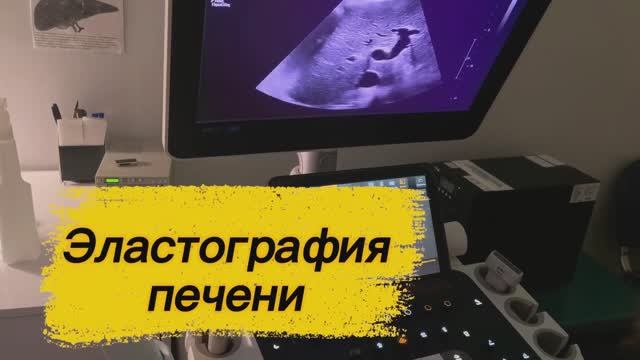 Эластография печени в клинике Гиппократ (ст. Ленинградская): только факты