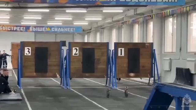 XХIII зимние лично-командные соревнования по пожарно-спасательному спорту