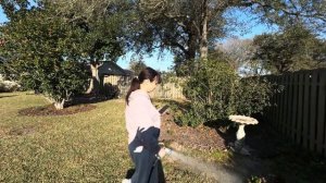 Жизнь в США- выходные Лейк Чарльз.￼(Мошковы в США)