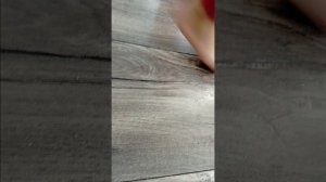 два раза подряд цыплёнок 🐣 пи смотреть 👀