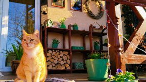 Как я преобразила дом к весне за 1 день🌷🏡 Приятные загородные будни