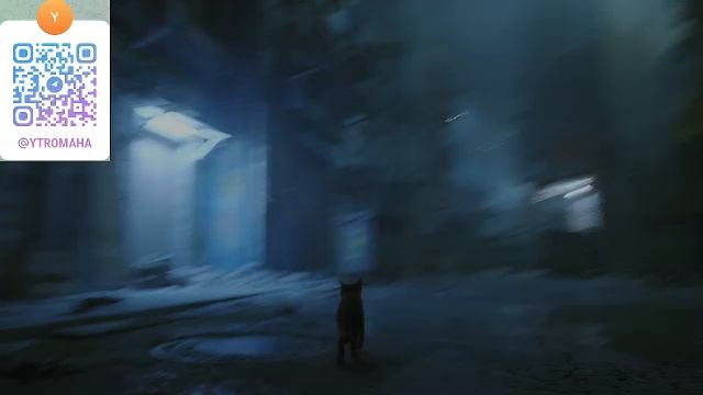 Котики Stray #CТРИМ