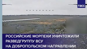 Российские морпехи уничтожили разведгруппу ВСУ на добропольском направлении СВО