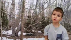 Привет из моего края