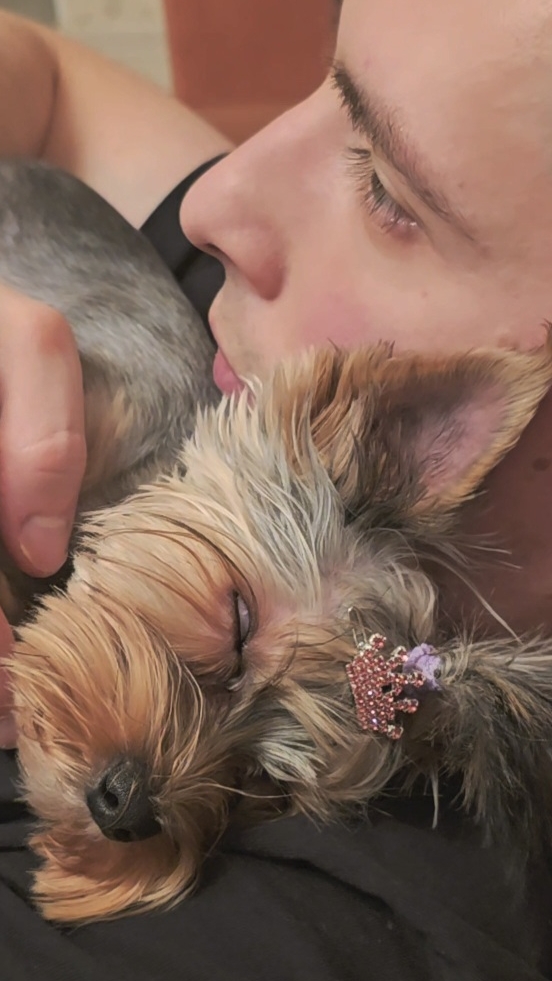 Это была любовь с первого взгдяда💔🐶 #shorts