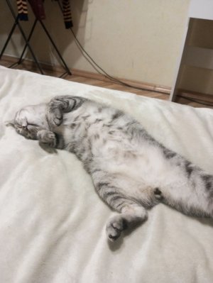 Minecraft продолжение.