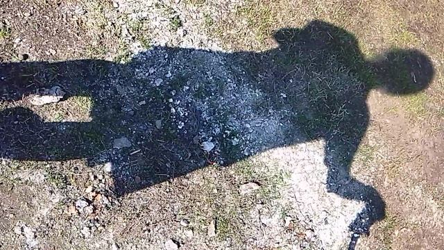 1000003938.mp4 смотреть онлайн