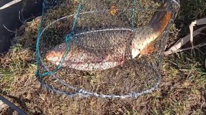 VID_20260404_141737_766