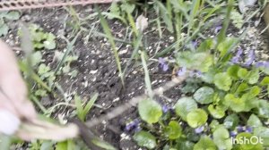 Завтрак для Коли ,провожаю на работу.Зажигаю свечи для родных!