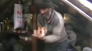 Жизнь отшельников в глубокой Тайге. Как приспособились люди к Таежной жизни