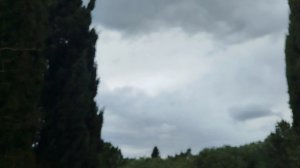 Остатки Рая на Земле. Парк « Южные Культуры»