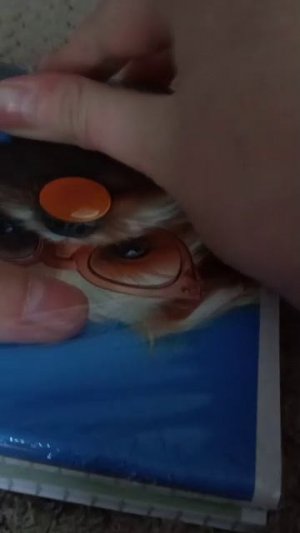 новые блокноты😍🤩🤩