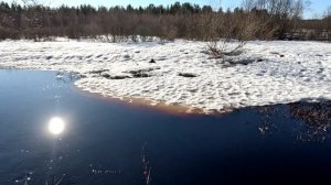 Весеннее ласковое солнце