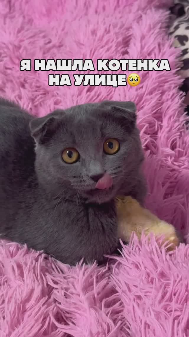 А вы бы взяли такую крошку?🥺❤️