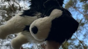 что я буду покупать для Окси  ☺