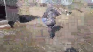 Светлые Горы Форель6 04.04.2026г.