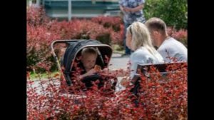 С 1 июля в России изменят правила назначения соцвыплат