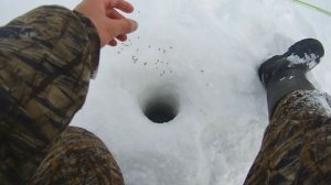 Охота на окуня на Песчаном.Зимняя рыбалка