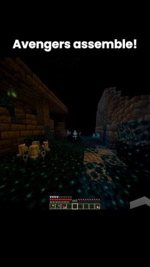 Minecraft kids
