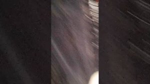 играю в стендофф