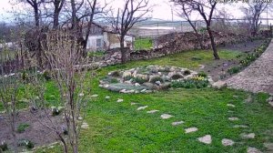 31 марта -3апреля 2026г.В перерывах между дождями и работой ,покосила участок )