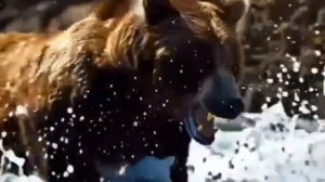 Защищай свою страну