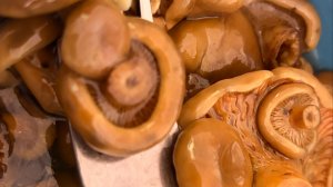 Для поднятия аппетита! Рыжики маринованные