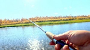 Тайга зовёт! Уехали в осень, ловим огромных щук, Шаман догнал лося . щуки на костре по старинке