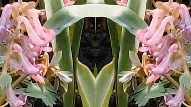 НУ,ДА,Я ВРЕДНАЯ