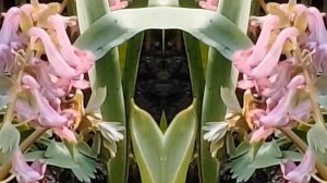 НУ,ДА,Я ВРЕДНАЯ