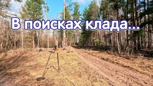 В поисках лесного клада. Сезон 2026