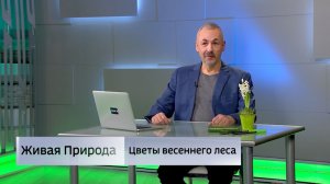Живая природа. "Цветы весеннего леса"