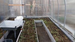 4.04.2026 г.На даче.Открыла розы,почистила клумбы.