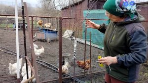 Яблоне декоративной дала шанс//
Дарю вам поляну цветов//
У ,,наших"  косуль  пора любви//