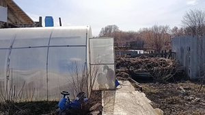 МУЖ ДОБРАЛСЯ ДО ТЕПЛИЦЫ/ВЫСАЖИВАЮ РОЗЫ..