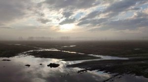 Туманное утро ( 4 апреля)