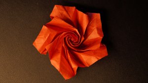 Оригами роза из бумаги - обучение или как сделать из бумаги розу оригами