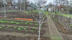 3-4 апреля 2026 Дождливо