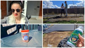 Ездили на участок! Клубника в порядке! Немного поработали! Брос от муравьёв!Аминоцимус для растений!